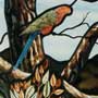 HawthornDetail2