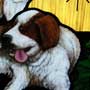 DogsDetail