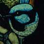 BlueWren