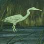 Heron