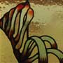 Kangaroo Paw Detail