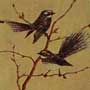 Fantails